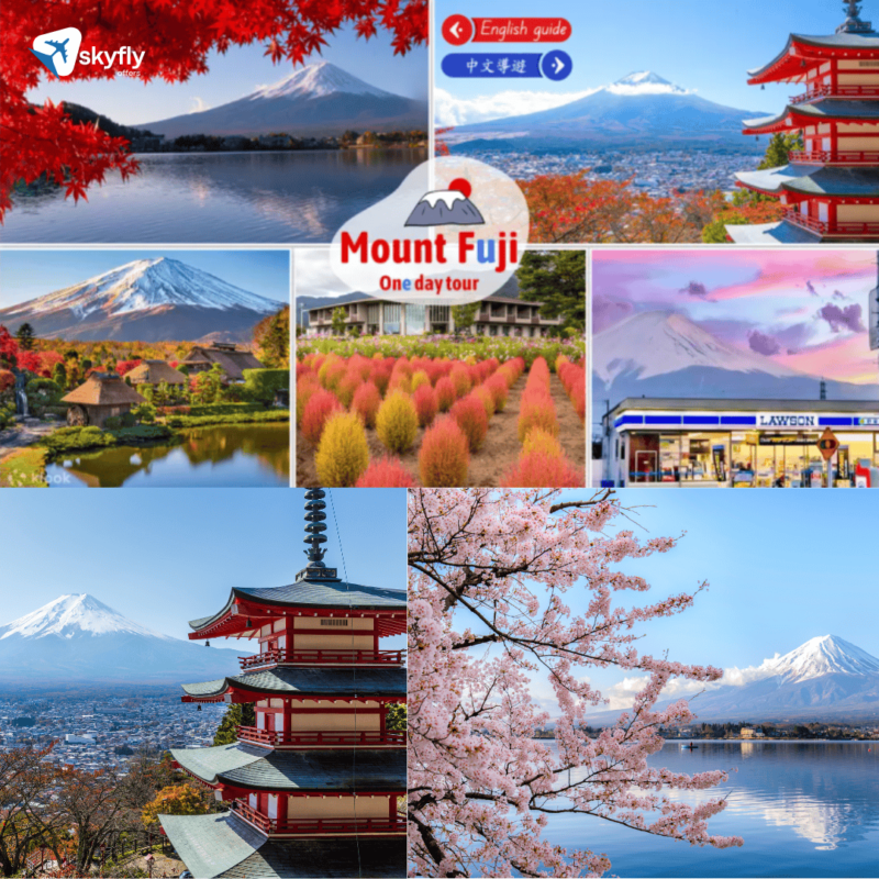 Mount Fuji Magnificent Day Tour from Tokyo